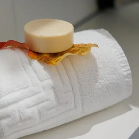 Clavdia Mini Flat בית הארחה רומא